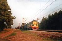  3-2993