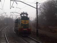  3-5561