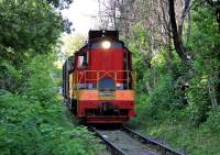 3-6242