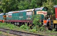 3-3944