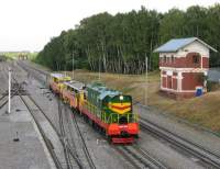3-3944