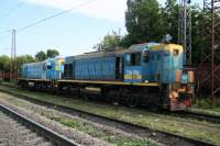  2-826  231