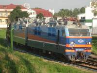  80/-019