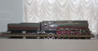  36-0002