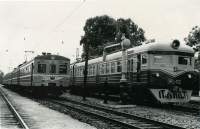 -  36-1589/1590   22-01  ., ,  , 1964 