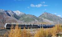 25-009  80