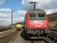 36024