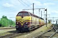1812 CFL