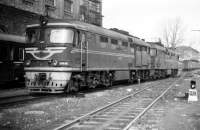 260-0051