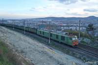  80-591