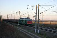  80-597  