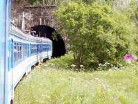 ,  2006.,    