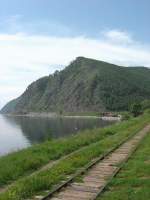 ,  2006.,    