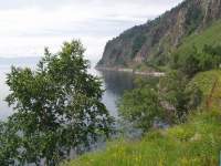 ,  2006.,    