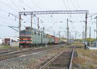 80-1303