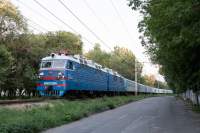80-2594