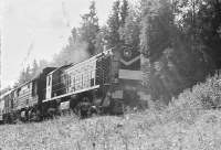  1-1305