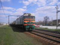 8-1304