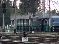  8-1036, 