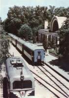  1966