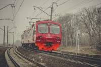4-0294