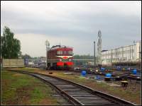 60-0428