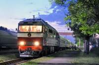 70-0206  ...
