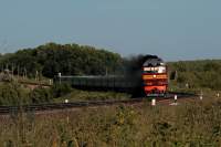  70-0482