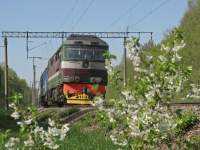 70-0251