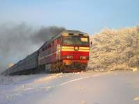 70-0439