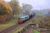  262-0204,   - 