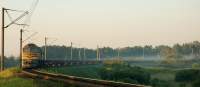  262-0367,  - - 