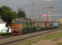 262-1137