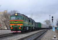 262-0081