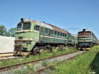 262-0707