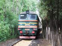 262-0833