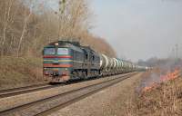 262-0482