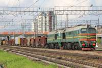 262-1196