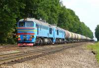  262-1172