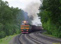  262-0001       - 
