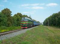 262-0279 ( )