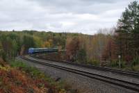 262-0202