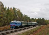 262-0202
