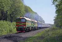 262-0241