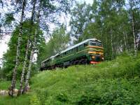 262-0064