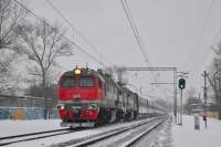 262-0061