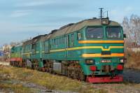 262-0019