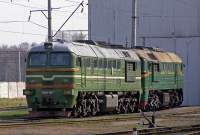  262-0055 ( ),  