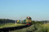 262-0019