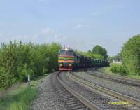  262-0017       - 